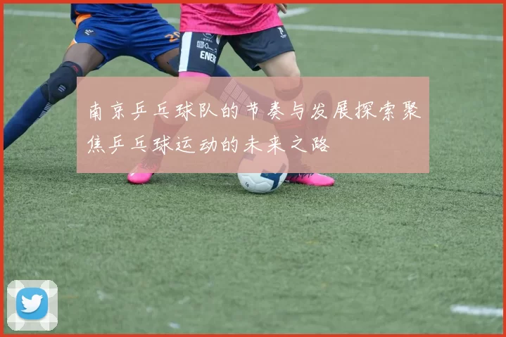 南京乒乓球队的节奏与发展探索聚焦乒乓球运动的未来之路