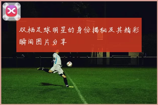 双栖足球明星的身份揭秘及其精彩瞬间图片分享