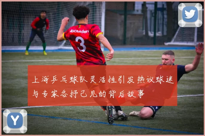 上海乒乓球队灵活性引发热议球迷与专家各抒己见的背后故事