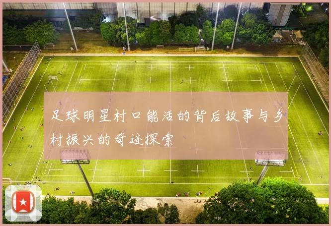 足球明星村口能活的背后故事与乡村振兴的奇迹探索