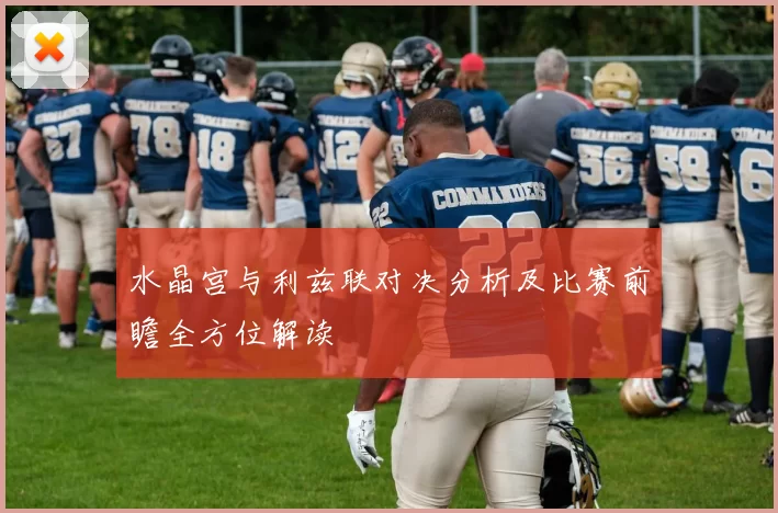 水晶宫与利兹联对决分析及比赛前瞻全方位解读