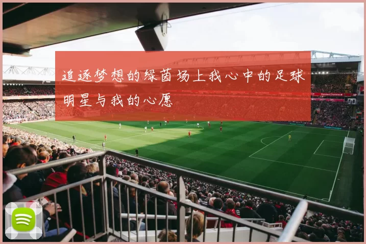 追逐梦想的绿茵场上我心中的足球明星与我的心愿