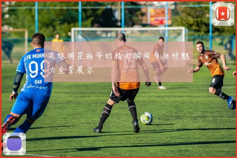 足球明星狗爷的精彩瞬间与独特魅力全景展示