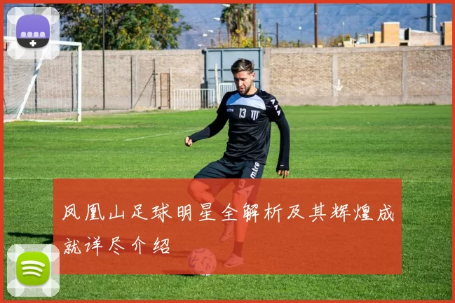 凤凰山足球明星全解析及其辉煌成就详尽介绍