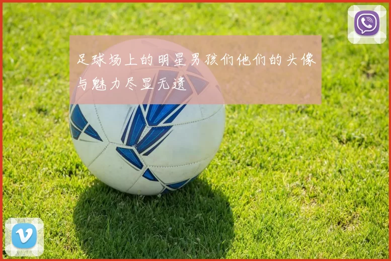 足球场上的明星男孩们他们的头像与魅力尽显无遗