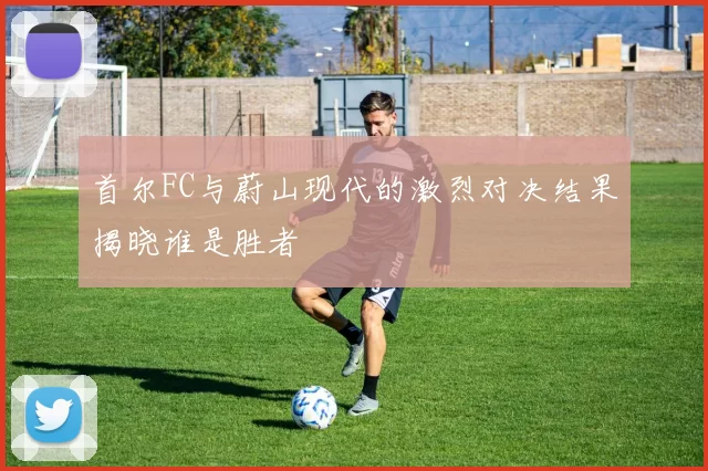 首尔FC与蔚山现代的激烈对决结果揭晓谁是胜者