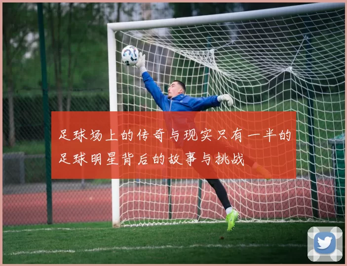 足球场上的传奇与现实只有一半的足球明星背后的故事与挑战