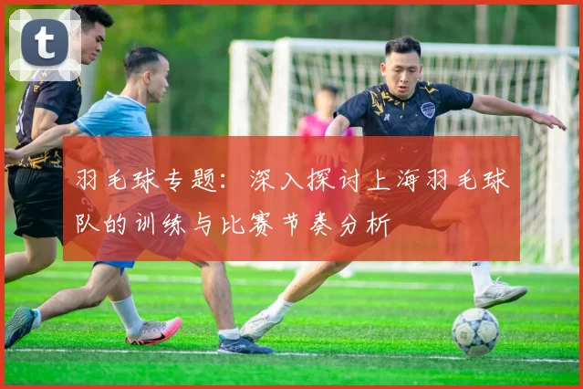 羽毛球专题：深入探讨上海羽毛球队的训练与比赛节奏分析