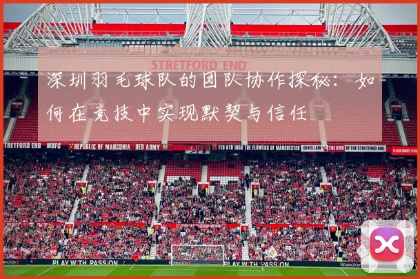 深圳羽毛球队的团队协作探秘：如何在竞技中实现默契与信任