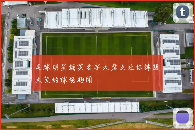 足球明星搞笑名字大盘点让你捧腹大笑的球场趣闻