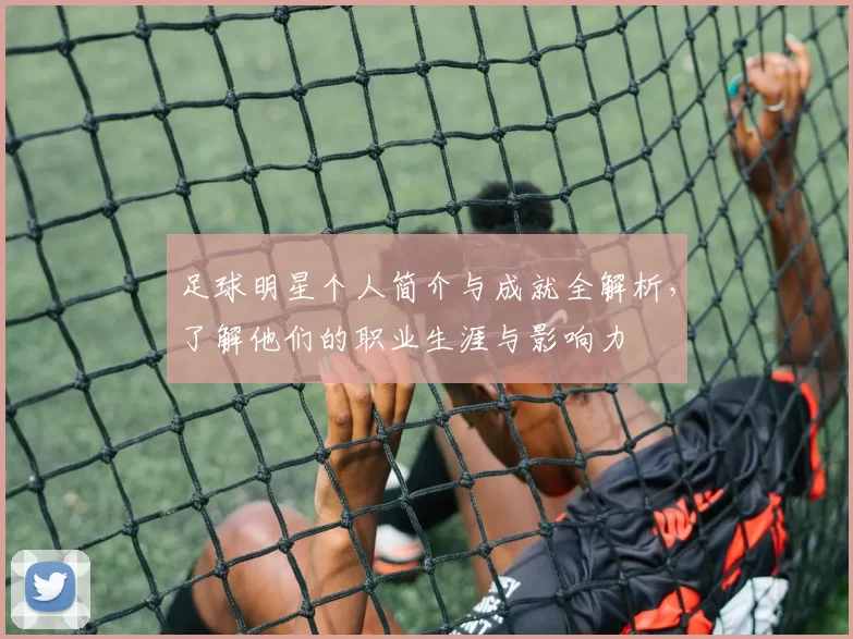 足球明星个人简介与成就全解析，了解他们的职业生涯与影响力