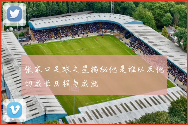 张家口足球之星揭秘他是谁以及他的成长历程与成就