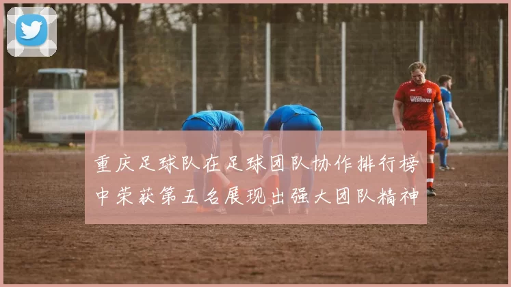 重庆足球队在足球团队协作排行榜中荣获第五名展现出强大团队精神与实力