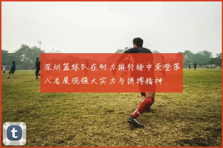 深圳篮球队在耐力排行榜中荣登第八名展现强大实力与拼搏精神