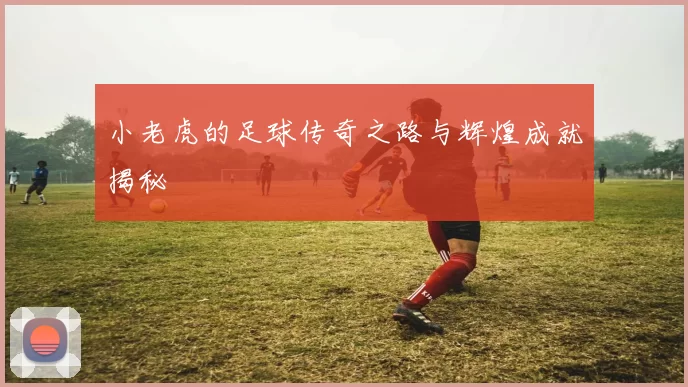 小老虎的足球传奇之路与辉煌成就揭秘
