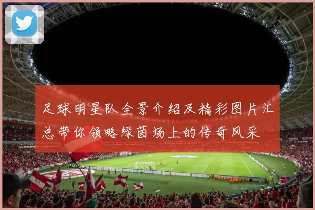 足球明星队全景介绍及精彩图片汇总带你领略绿茵场上的传奇风采